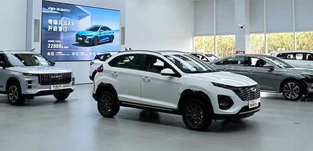 安徽大名車業(yè)（集團(tuán)）有限公司