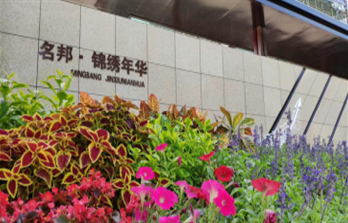 從錦繡年華，到錦繡年華——堅(jiān)守品質(zhì)，不忘初心
