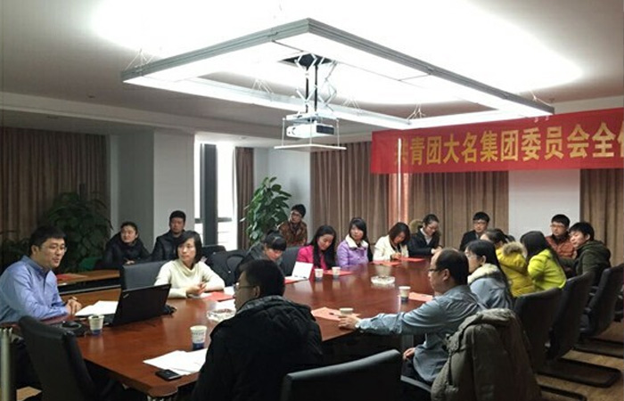 大名集團第四屆團委委員增選大會隆重召開
