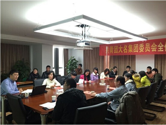 大名集團(tuán)第四屆團(tuán)委委員增選大會(huì)隆重召開